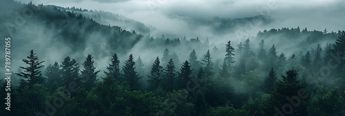 overhead view of The melancholy beauty of a foggy morning shrouding the landscape in mist, hyperrealistic travel photography, copy space for writing photo