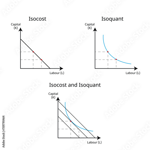 isoquant curve shows all combination of factors that produce a certain output and isocost show all combinations of factors that cost the same amount