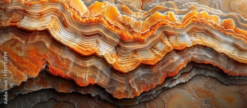 Detailed view of a substantial rock showcasing a prominent wavy pattern on its surface, creating an intriguing visual texture