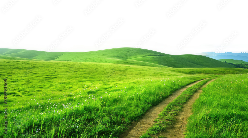 Naklejka premium isolated green grass outdoor field landscape with roadway
