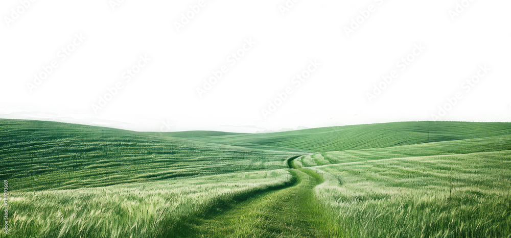 Fototapeta premium natural greenery grassland landscape on transparent background