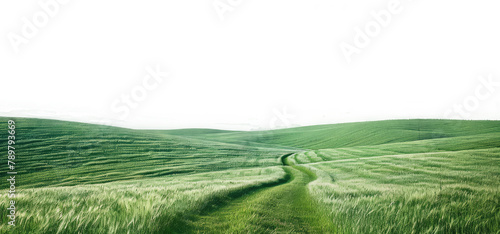 natural greenery grassland landscape on transparent background photo