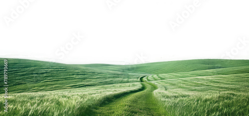 natural greenery grassland landscape on transparent background