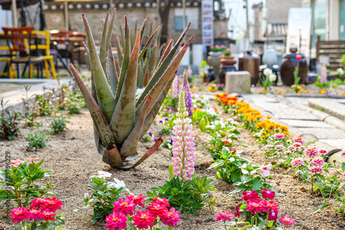 한국 서울 북촌한옥마을 전통건축 기와집 풍경