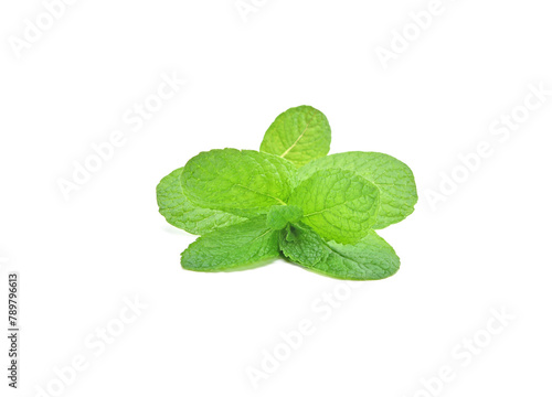 Peppermint isolated on white background.