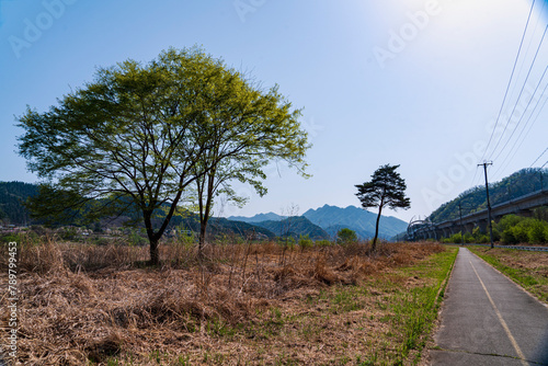 경춘선 전철 백양리 근처 북한강가의 나무와 멀리보이는 삼악산,  백양리, 춘천, 강원도 대한민국