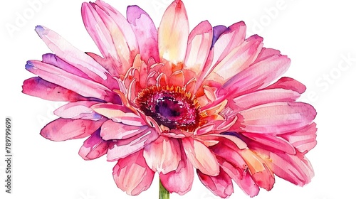 Watercolor gerbera daisy clipart in bright and cheerful colors
