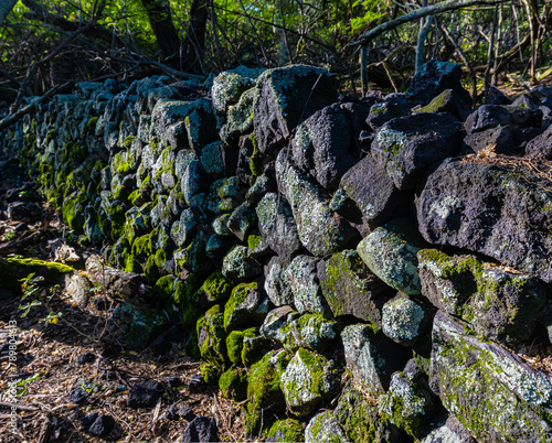 Lava Stone Wall on The Captain Cook Monument Trail, Captain Cook, Hawaii Island, Hawaii, USA photo