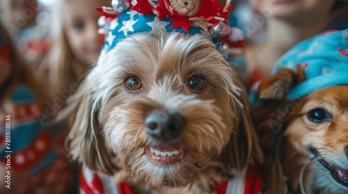 A dog wearing a funny hat is smiling at the camera. photo