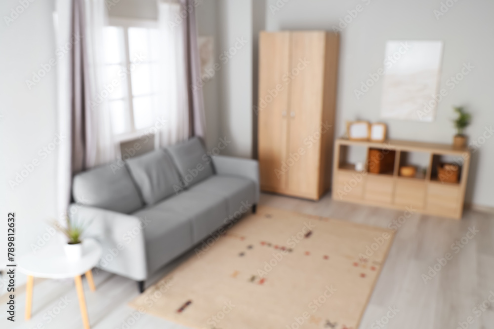 Blurred view of modern living room with grey sofa and wooden closet