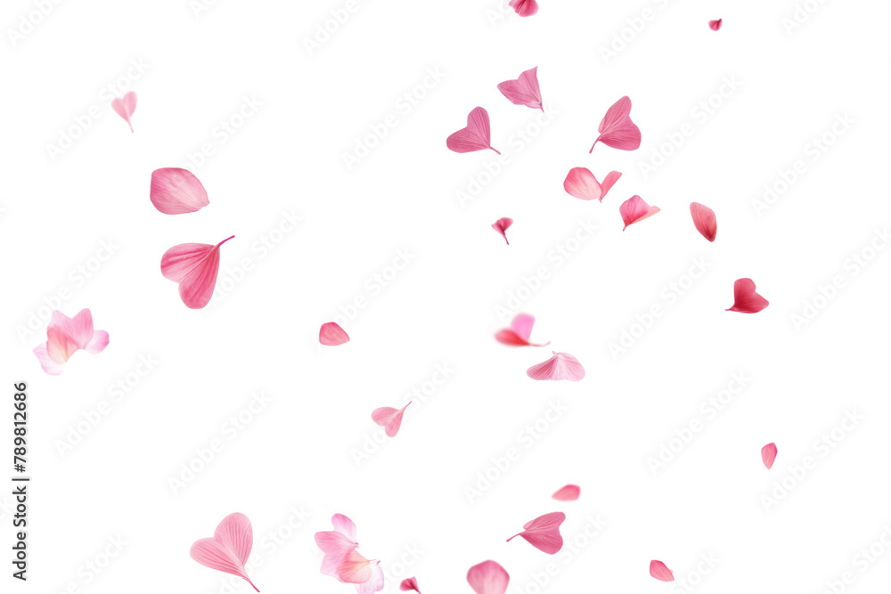 PNG Falling flower pink petals, transparent background