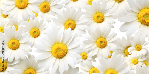 a close image of white and yellow flowers modern concept on a flowerful background photo