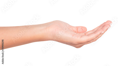 Cupped hand gesture png mockup photo