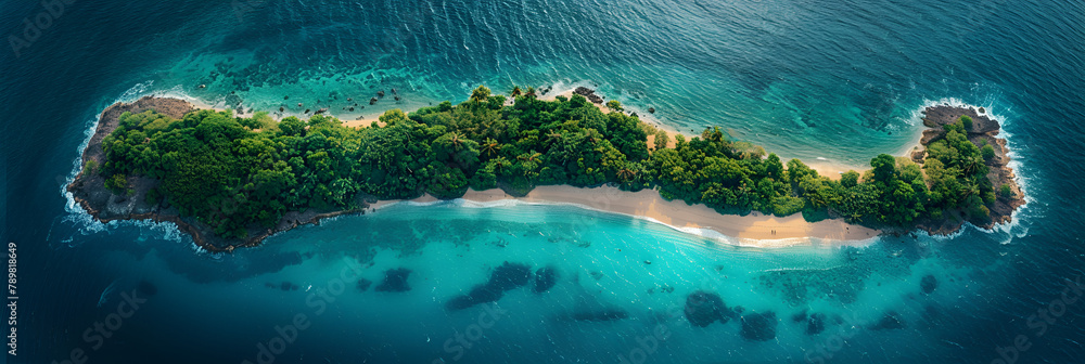 Aerial View of Island Landscape,
dolphin in the water 3D Image