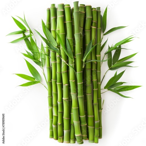  A row of green bamboo sticks with accompanying leaves on a white background