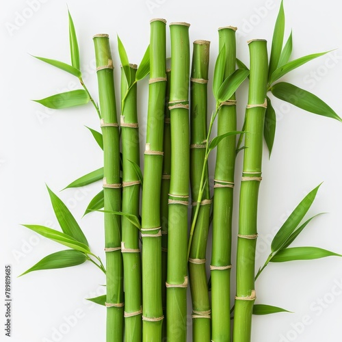  A tight shot of green bamboo bundled with leaves against a clean white backdrop Background includes a pristine white wall