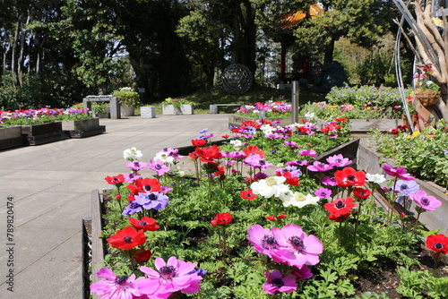 Wallpaper Mural 花 Torontodigital.ca