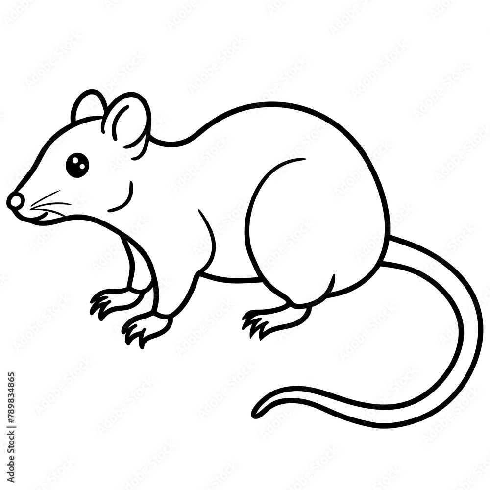 Fototapeta premium outline simple rat white background- vector illustration