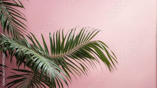 Creative layout of colorful palm leaves on a pink background in the rays of the sun, with shadows. Minimal summer exotic concept with copy space