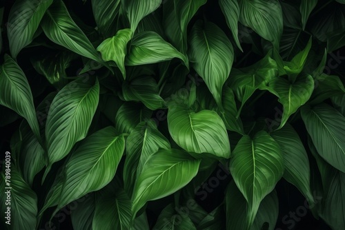 Background green leaves © Aida