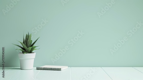 Green potted succulent plant on a white wooden table against a soft green wall