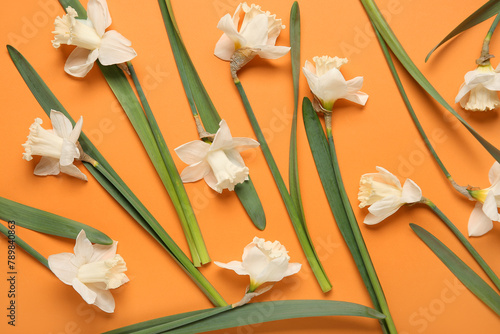 Composition with daffodil f...
