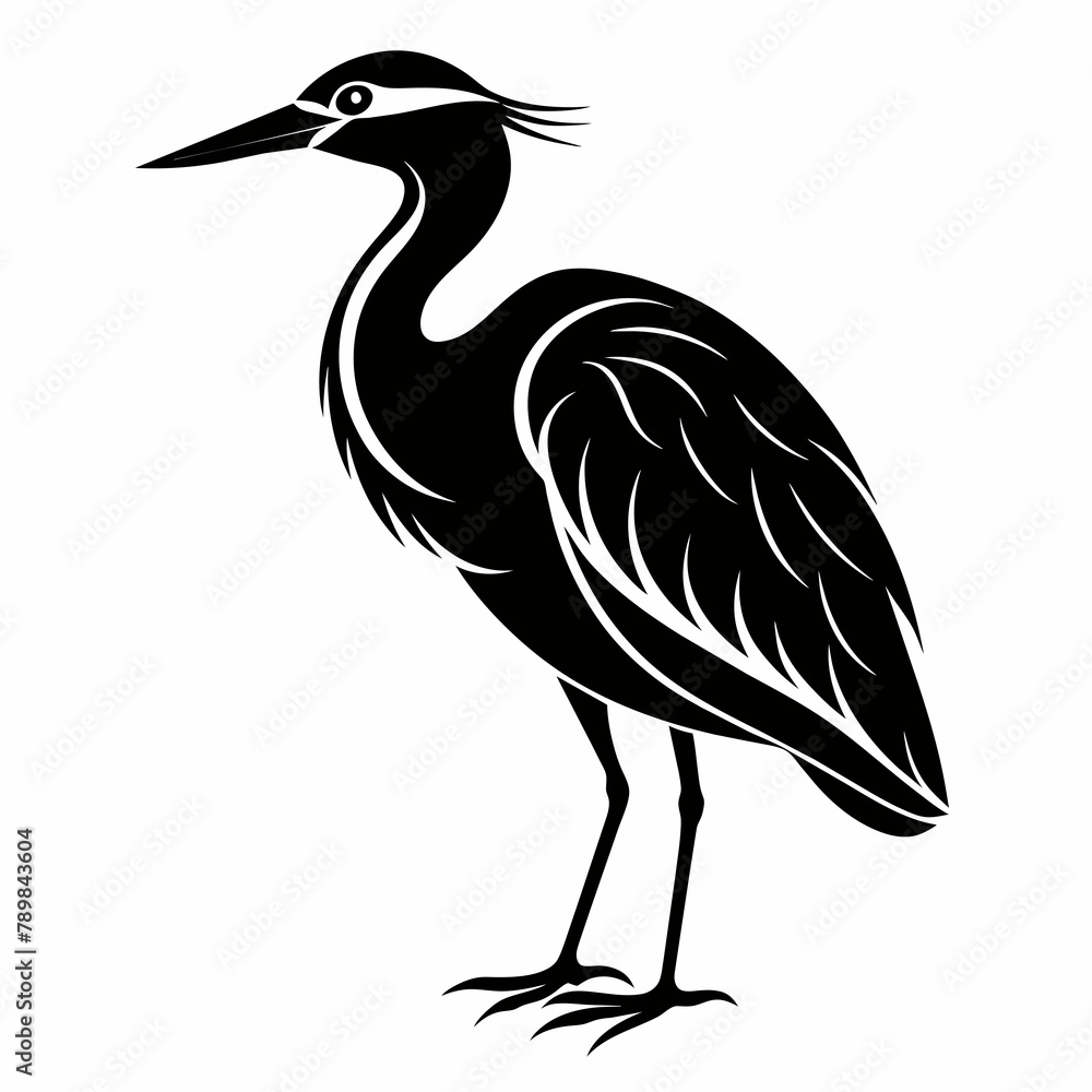 night heron heron on a white background Vector Illustration night heron heron on a white background Vector Illustration