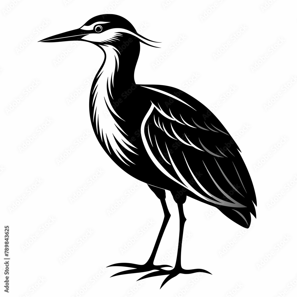 Fototapeta premium night heron heron on a white background Vector Illustration 
