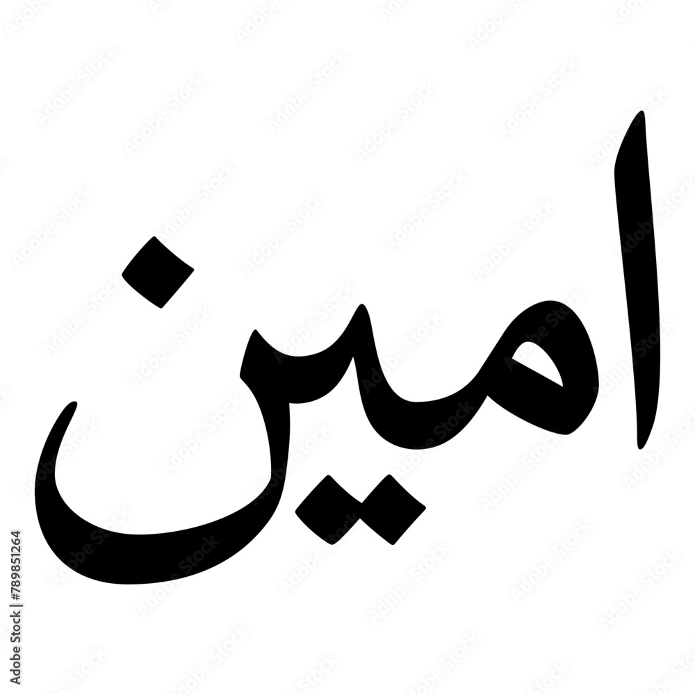 Aminu Muslim Girls Name Naskh Font Arabic Calligraphy Aminu Muslim Girls Name Naskh Font Arabic Calligraphy