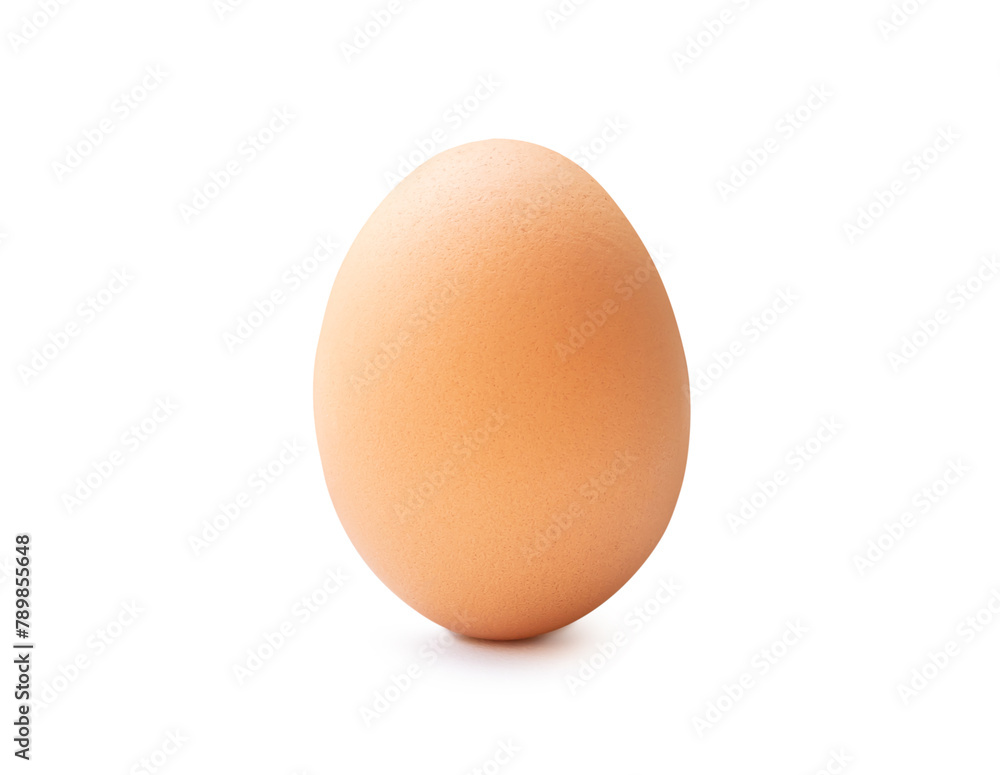 Front view of single fresh brown chicken egg standing isolated on white background with clipping path Front view of single fresh brown chicken egg standing isolated on white background with clipping path