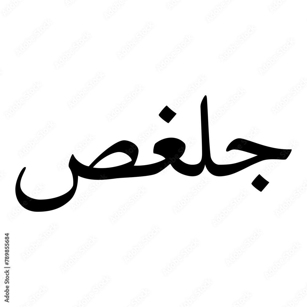 Golghees Muslim Girls Name Naskh Font Arabic Calligraphy Golghees Muslim Girls Name Naskh Font Arabic Calligraphy