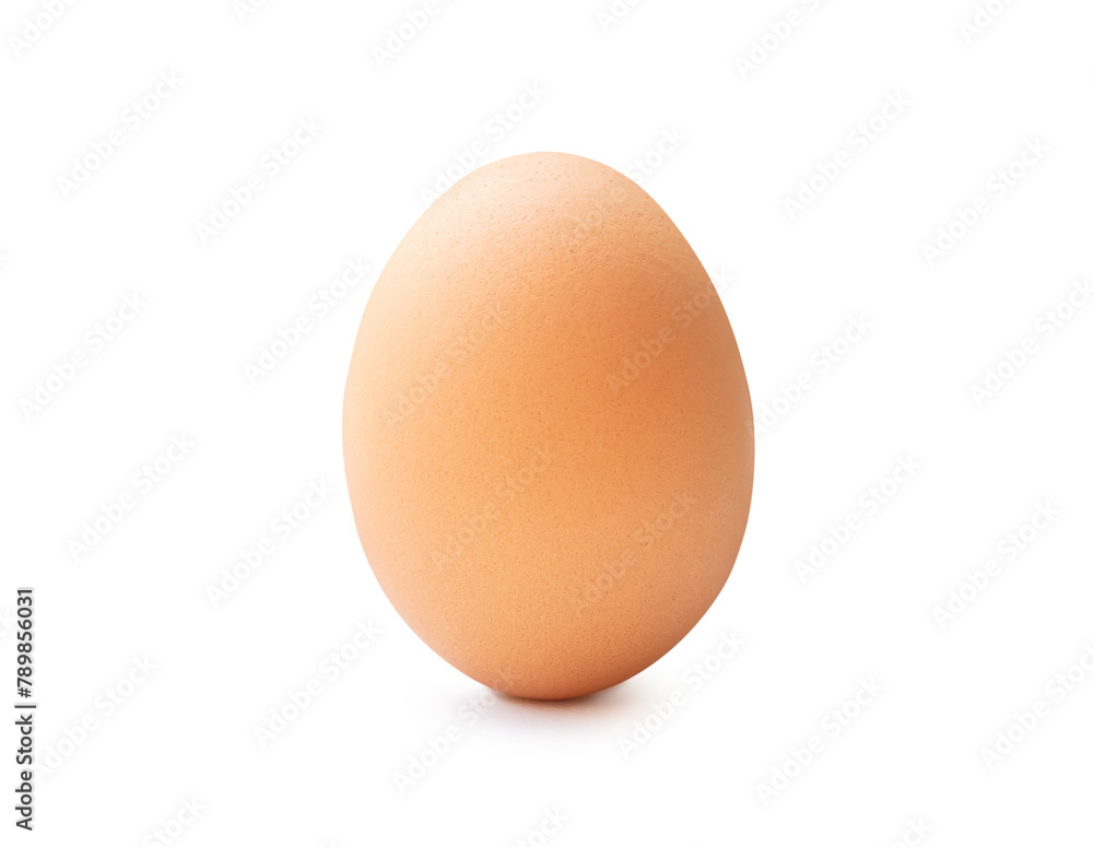 Front view of single fresh brown chicken egg standing isolated with clipping path and shadow in png file format Front view of single fresh brown chicken egg standing isolated with clipping path and shadow in png file format