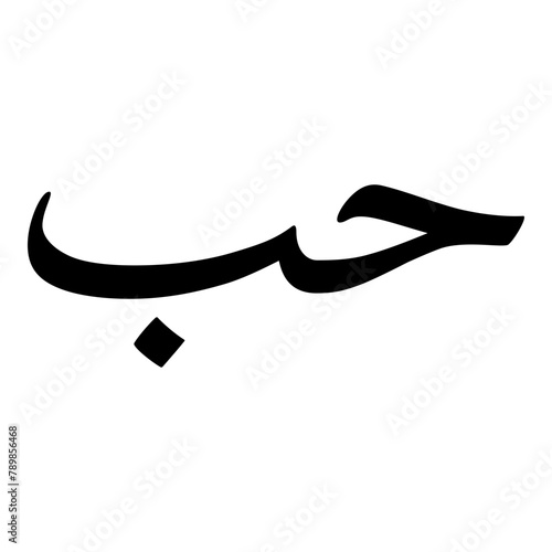 Hobb Muslim Girls Name Naskh Font Arabic Calligraphy photo