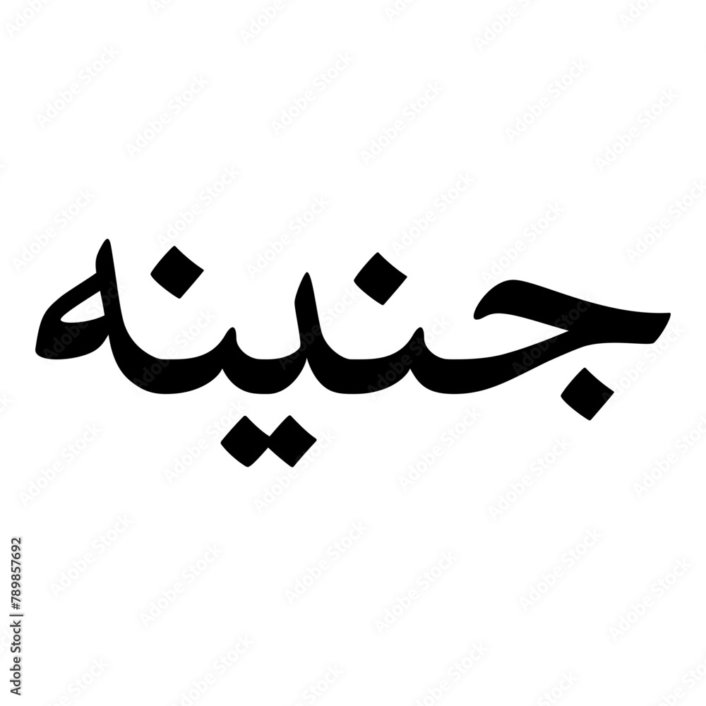 Junainah Muslim Girls Name Naskh Font Arabic Calligraphy Junainah Muslim Girls Name Naskh Font Arabic Calligraphy