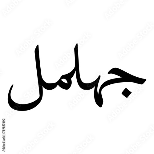 Jhilmil Muslim Girls Name Naskh Font Arabic Calligraphy photo