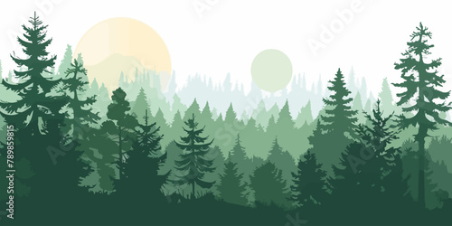 a forest filled with lots of tall trees photo