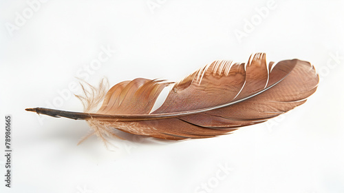 YesNo
Feather isolated on the white background,Beautiful feather bird on white background,Feather isolated on the white background



