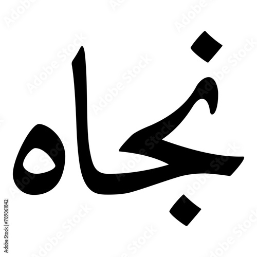 Najat Muslim Girls Name Naskh Font Arabic Calligraphy