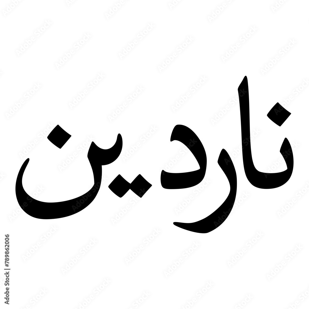 Nardeen Muslim Girls Name Naskh Font Arabic Calligraphy Nardeen Muslim Girls Name Naskh Font Arabic Calligraphy