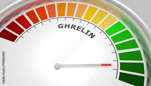 Canvas Print Ghrelin good level on measure scale