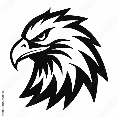 Eagle head vector illustration Vector Illustration  © kanailal