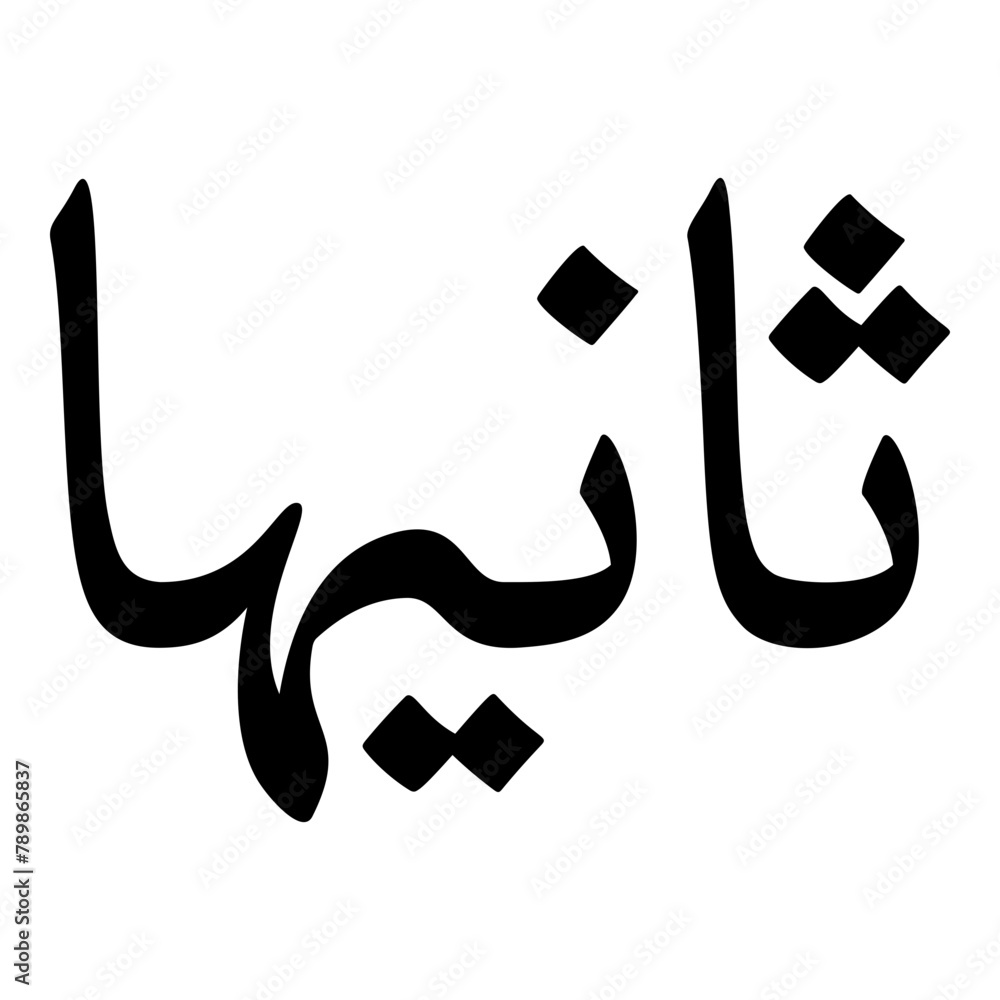 Saniha Muslim Girls Name Naskh Font Arabic Calligraphy Saniha Muslim Girls Name Naskh Font Arabic Calligraphy