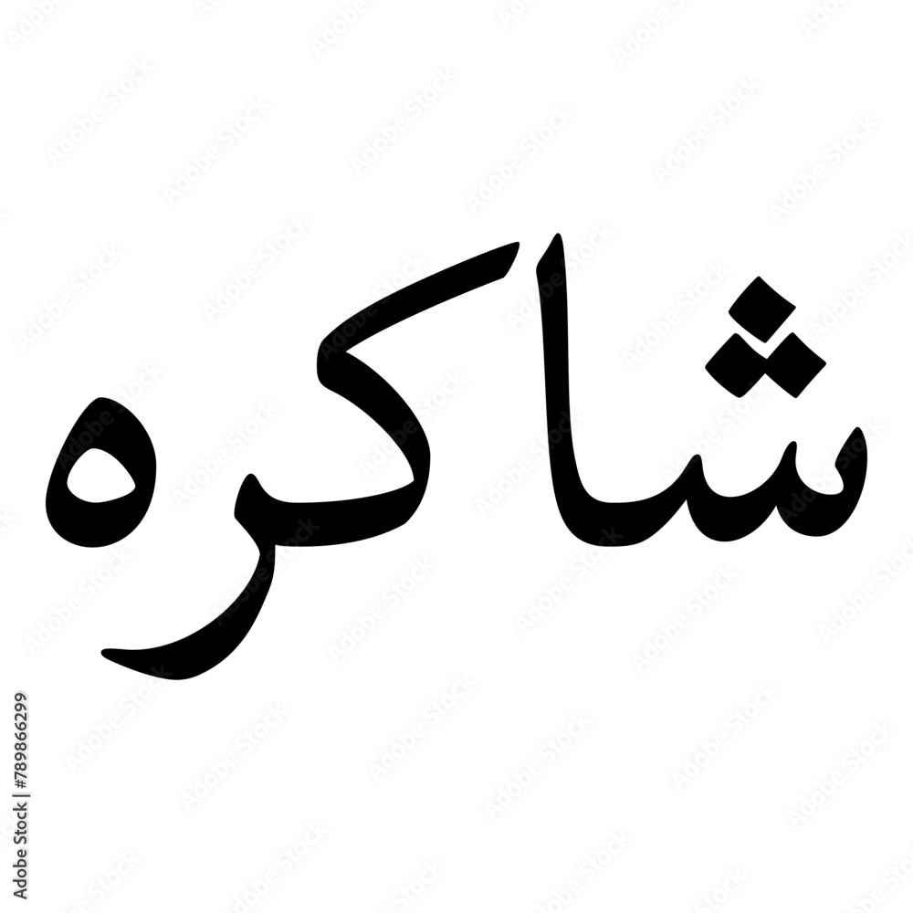 Shaakirah Muslim Girls Name Naskh Font Arabic Calligraphy Shaakirah Muslim Girls Name Naskh Font Arabic Calligraphy