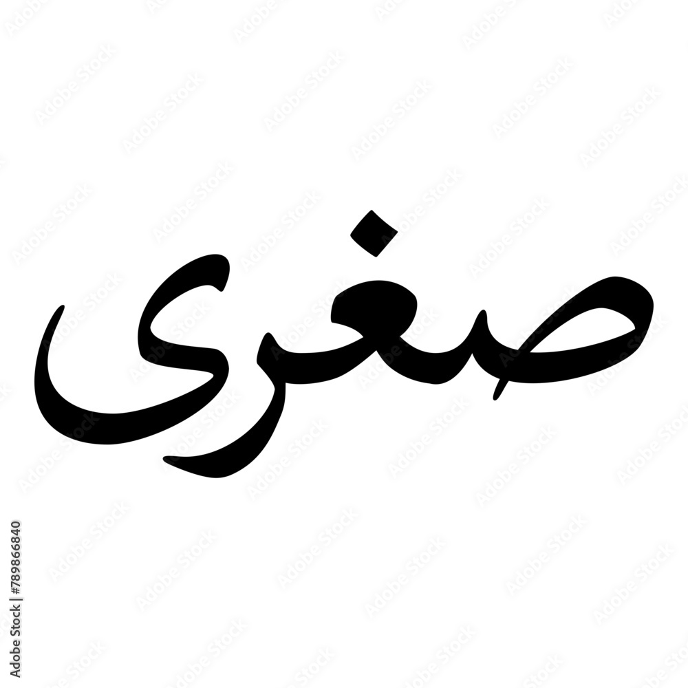 Sughra Muslim Girls Name Naskh Font Arabic Calligraphy Sughra Muslim Girls Name Naskh Font Arabic Calligraphy