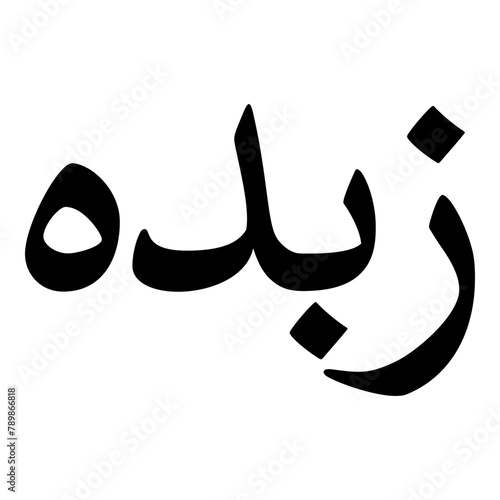 Speda Muslim Girls Name Naskh Font Arabic Calligraphy