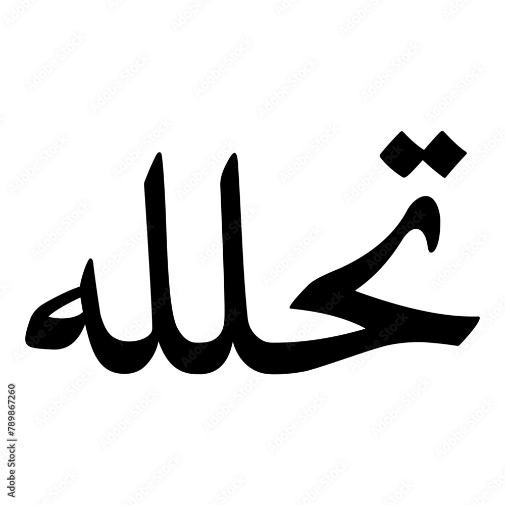 Tahillah Muslim Girls Name Naskh Font Arabic Calligraphy Tahillah Muslim Girls Name Naskh Font Arabic Calligraphy