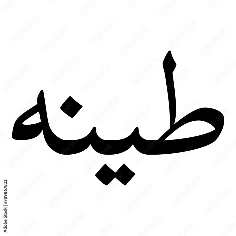 Tinat Muslim Girls Name Naskh Font Arabic Calligraphy Tinat Muslim Girls Name Naskh Font Arabic Calligraphy