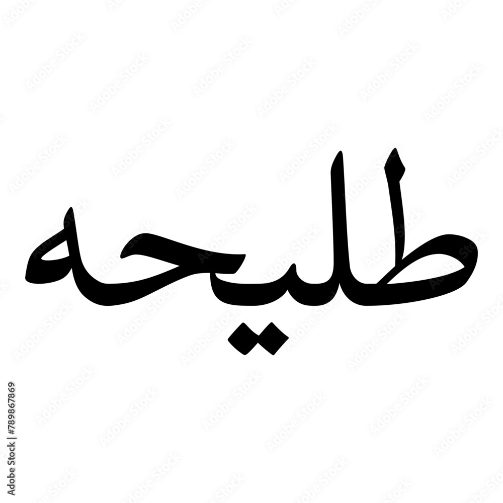 Tulayhah Muslim Girls Name Naskh Font Arabic Calligraphy Tulayhah Muslim Girls Name Naskh Font Arabic Calligraphy