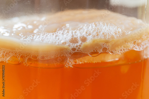 Fotografie Kombucha SCOBY symbiotic culture of bacteria and yeast with air bubbles in a glass bottle jar,homemade fermented drink
