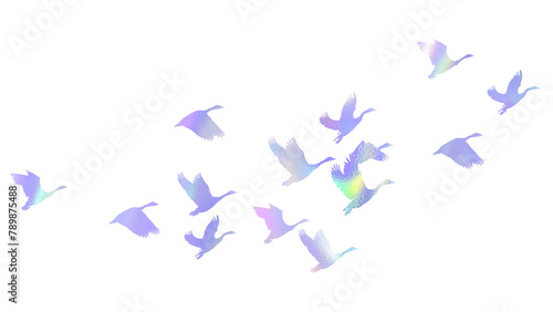Flying birds png silhouette sticker  holographic animal illustration on transparent background